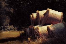 草垛麦草垛稻草垛图片