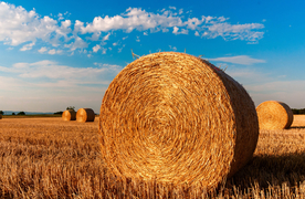 草垛麦草垛稻草垛图片