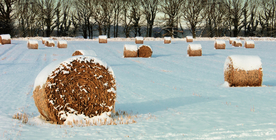 草垛麦草垛稻草垛图片