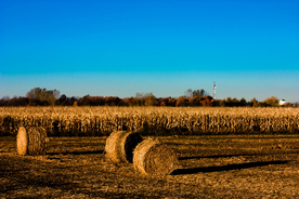 草垛麦草垛稻草垛图片