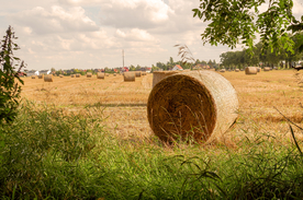 草垛麦草垛稻草垛图片