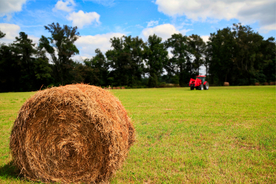 草垛麦草垛稻草垛图片