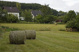 草垛麦草垛稻草垛图片