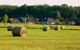 草垛麦草垛稻草垛图片