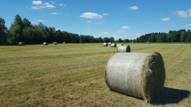 草垛麦草垛稻草垛图片