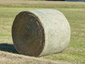 草垛麦草垛稻草垛图片