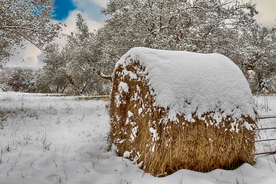 草垛麦草垛稻草垛图片