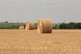 草垛麦草垛稻草垛图片