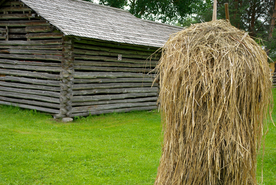 草垛麦草垛稻草垛图片