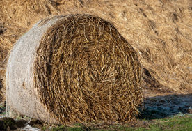 草垛麦草垛稻草垛图片