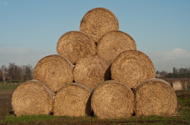 草垛麦草垛稻草垛图片