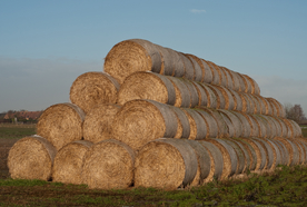 草垛麦草垛稻草垛图片