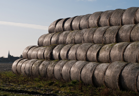 草垛麦草垛稻草垛图片