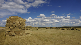草垛麦草垛稻草垛图片