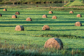 草垛麦草垛稻草垛图片