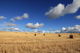 草垛麦草垛稻草垛图片