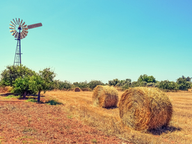 草垛麦草垛稻草垛图片
