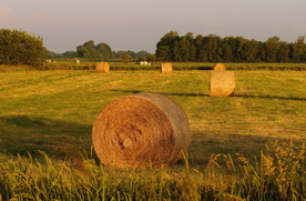 草垛麦草垛稻草垛图片