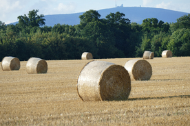 草垛麦草垛稻草垛图片
