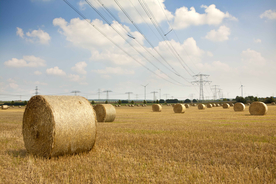 草垛麦草垛稻草垛图片