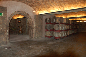 酒桶红酒桶图片