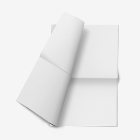 报纸样机 psd 样机 报纸