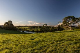 山水 森林 天空