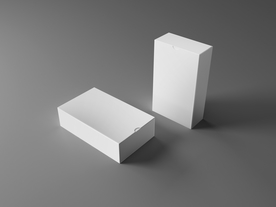 纸盒样机