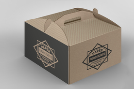 纸盒样机