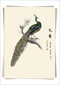 孔雀 水墨画