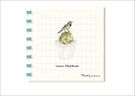 仙人球 植物图鉴