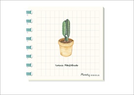 仙人掌植物图鉴