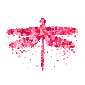 蜻蜓