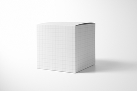 纸盒 样机 VI  贴图