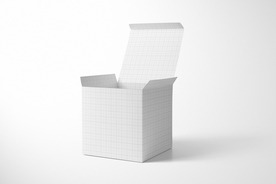 纸盒 样机 VI  贴图