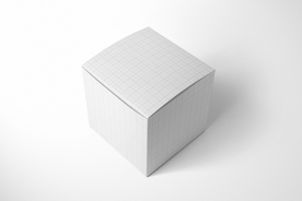 纸盒 样机 VI  贴图