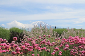 富士山风景图片