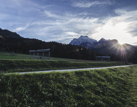 足球场绿荫图片