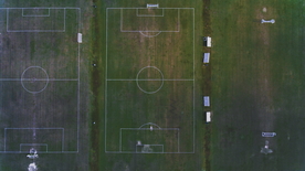 足球场绿荫图片