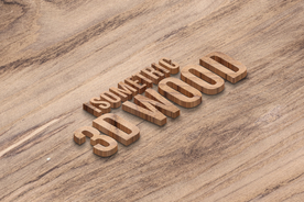 字体样式 立体木纹图标标志效果