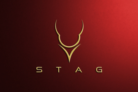 LOGO样机 金色浮雕效果