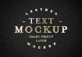 字体样式 真皮图标标志