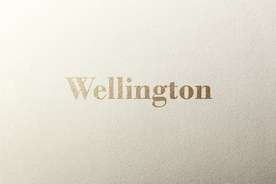 字体样式 烫金图标标志