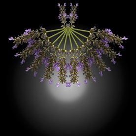 花