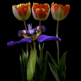 花