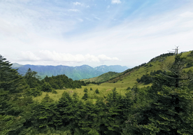 神农顶自然风光