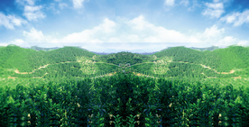 蓝天草地海报背景