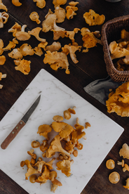 鸡油菌蘑菇菌类图片