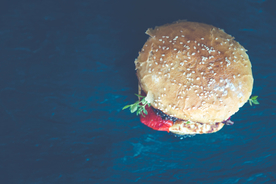 汉堡包汉堡图片