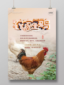 农家土鸡宣传海报